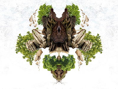 Fortitude abstract floating nature photo manipulation rocks roots