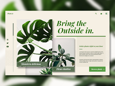 Fake UI - Online house plant shop design house plant landing page ui ux