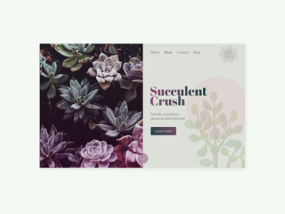 Succulent Crush colour concept homepage minimal purple split screen succulent website website concept website design