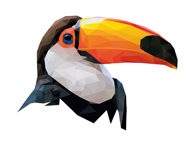 Tucano illustrator lowpoly triangles tucan