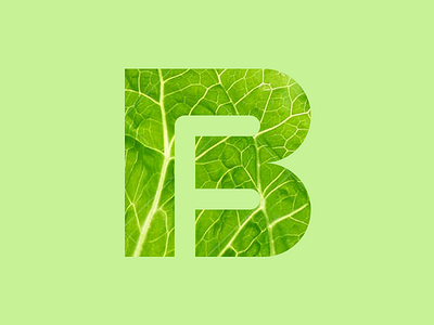 BeFit Foods food lettuce logo
