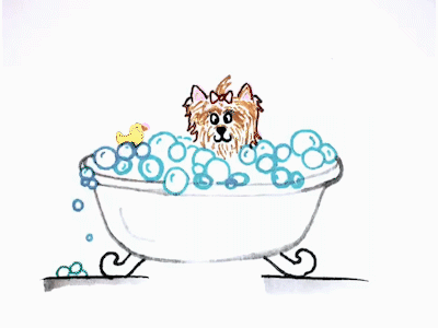 Bubbles animation bubbles gif illustrator