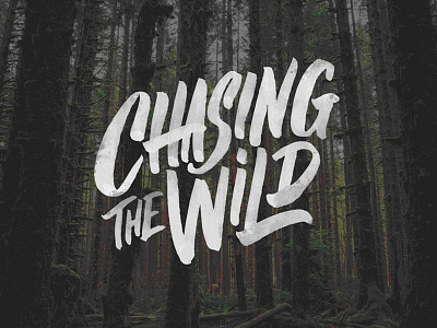 Chasing the Wild calligraphy design handlettering lettering typedesign typography