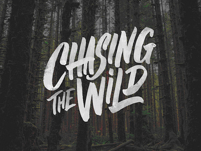 Chasing the Wild