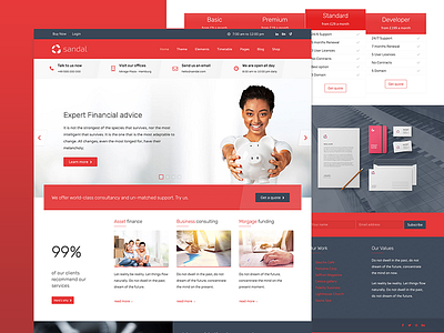 Sandal Theme business consultancy finance red template theme ui ux web design web development