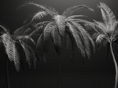 Palm trees, animation of wind 3d animation clay l system palm tree