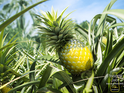Pineapple juice 3d advertise corona render glass juice ojo pineapple render