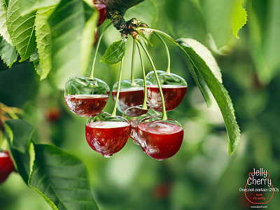 Cherry jelly 3d advertise cherry corona render glass jelly ojo render
