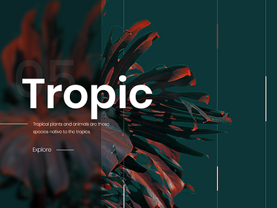 Tropic banner black creative design dribbble enjoy ui ux explore follow illustration invitation