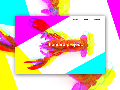 Color channels homard. circular cmjn cyan homard lobster magenta trends webdesign yellow