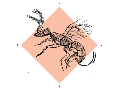 Fig Wasp fig wasp illustration insects pigment liner