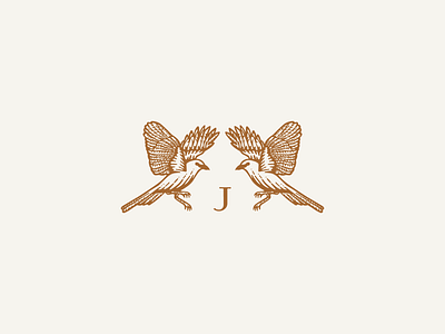 The Jackson bird brand identity branding design illustration logo logomark mockingbird