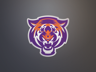 El Tigre branding clemson identity sports branding sports identity sports logo tiger