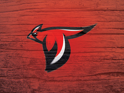 Cardinal bird branding cardinal identity sports branding sports identity sports logo