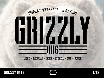 Grizzly 0116 Display Typeface cut display type rough sports fonts sports type sports typography stencil type typeface typography