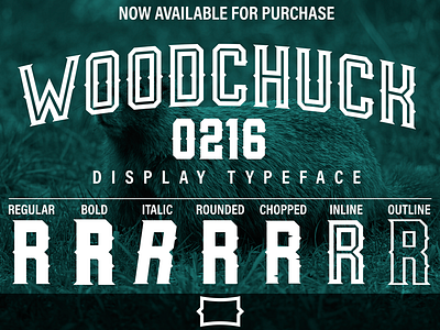 Woodchuck 0216 - Now Available! display font display type font inline inline type rounded type studded type type typography