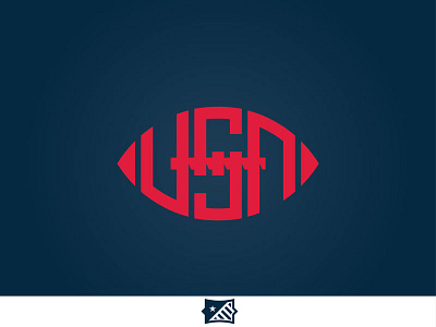 USA Football Concept