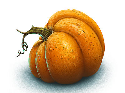 Pumpkin halloween orange pumpkin