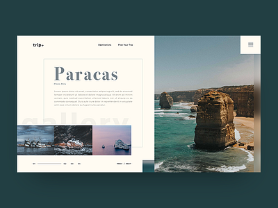 trip+_2 branding design ui ux web website