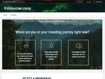 Motley Fool Everlasting Stocks design fool home page mockup