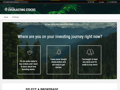 Motley Fool Everlasting Stocks design fool home page mockup