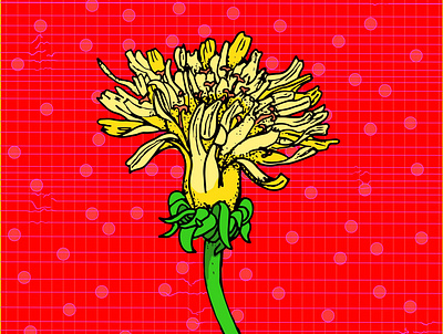 Dandelion adobe illlustrator design flower flower illustration illustration