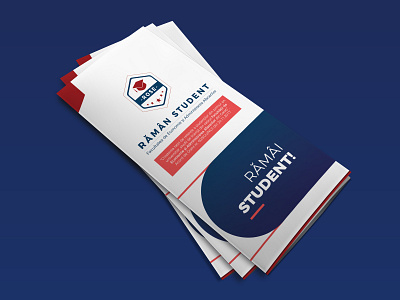 Trifold business EU project branding illustration typography