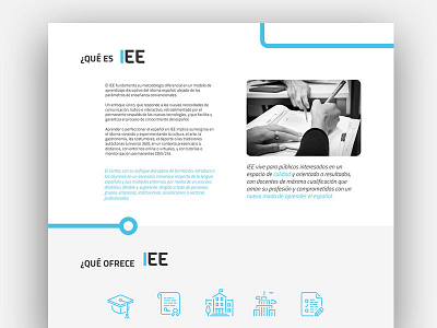 Web Design // Language School brand branding ui ux web