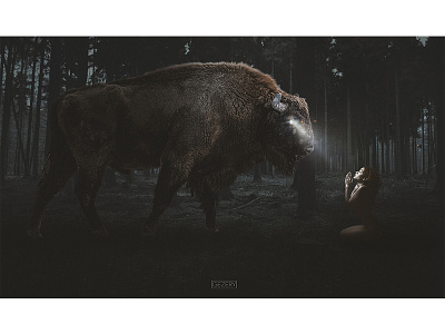 THE JUDGEMENT adobe art behance bull digital eye girl photomanipulation photoshop surreal trees woods