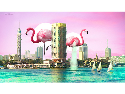 Pink-Cairo adobe art behance cairo digital flamingo photomanipulation photoshop pink surreal