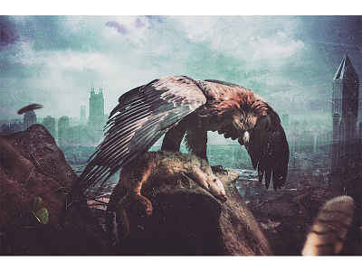 Prey hunting adobe art behance city digital eagle eye fly photomanipulation photoshop surreal