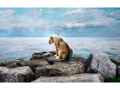 Useless adobe art behance digital lion photomanipulation photoshop sea sky surreal tree