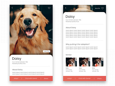 UI Design for a pet company by BrandzGarage Design Agency adoption app design brandzgarage design agency mobile app design mobile application design pet pet care pet company startup ui ui ux ui design uidesign uiux ux