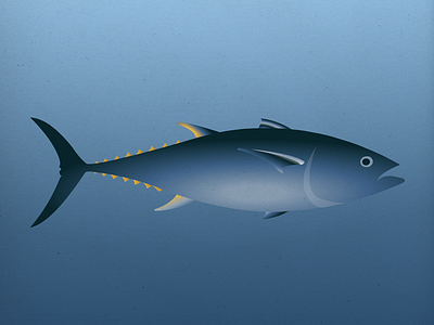 Endangered 05 Bluefin Tuna 100dayproject 100endangeredspecies endangeredspecies illustration the100dayproject