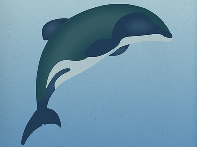 Endangered 06 Hector's Dolphin 100dayproject 100endangeredspecies endangeredspecies illustration the100dayproject