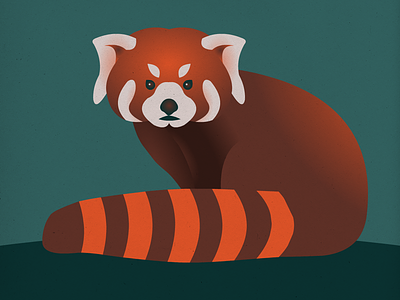 Endangered 14 Red Panda 100dayproject 100endangeredspecies endangeredspecies illustration the100dayproject