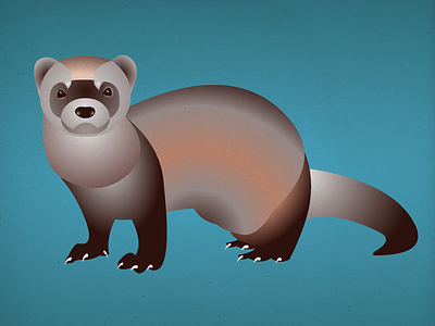 Endangered 17 Black-Footed Ferret 100dayproject 100endangeredspecies endangeredspecies illustration the100dayproject