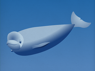 Endangered 22 Beluga 100dayproject 100endangeredspecies endangeredspecies illustration the100dayproject
