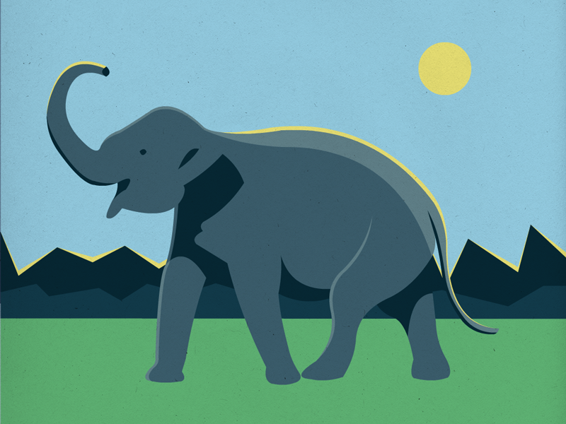 Endangered 24 Sri Lankan Elephant by Sara Wade on Dribbble