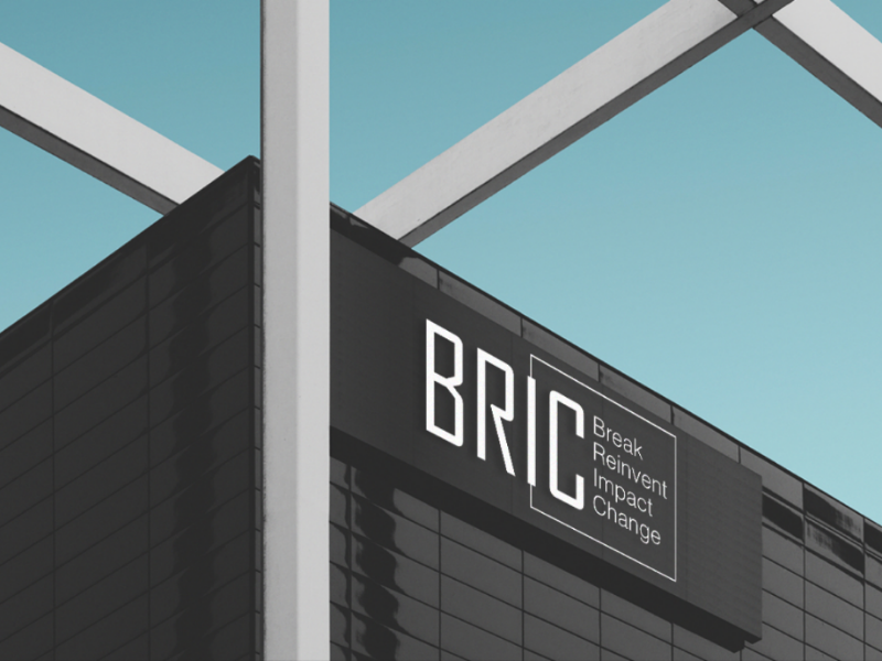 Brick Logo Design artdirection logos brandidentity graphicdesign graphic company service branding design logo bric