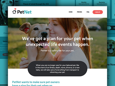 PetNet Website Launch cat design dog net pets safety website