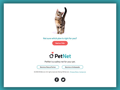 Footer Design button cat design footer website