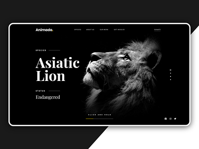 Animado Web UI/UX Design creative web design minimal