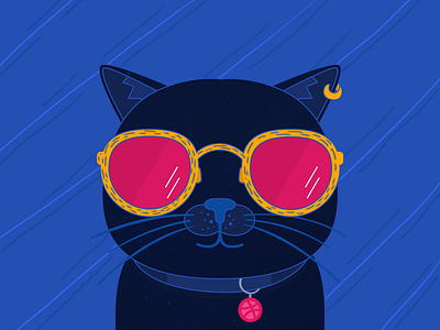 Hello Dirbbble cat dirbbble hello illustration vector