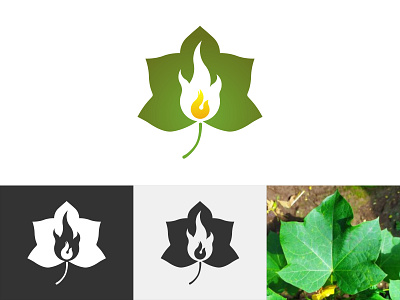 Organic Oil Logo caporaider fire fuel leaf logo logodesign oil organic