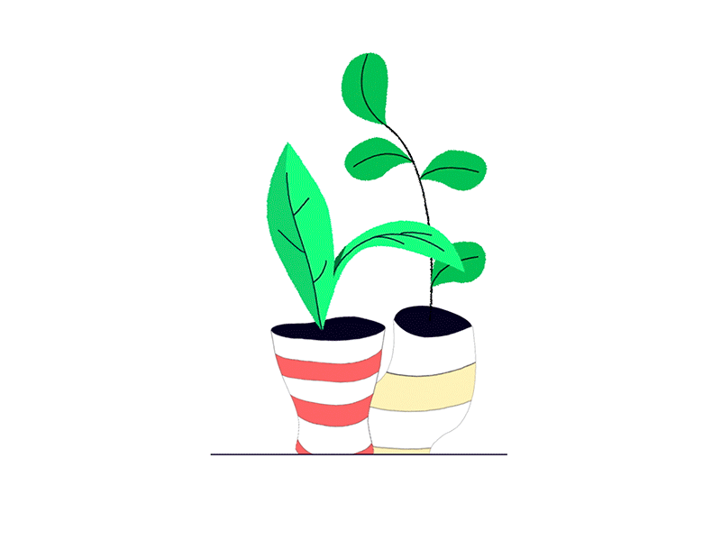 Leaf Pot aftereffects animation draw flat design illustration motion motion animation motion graphics pattern plant illustration stroke