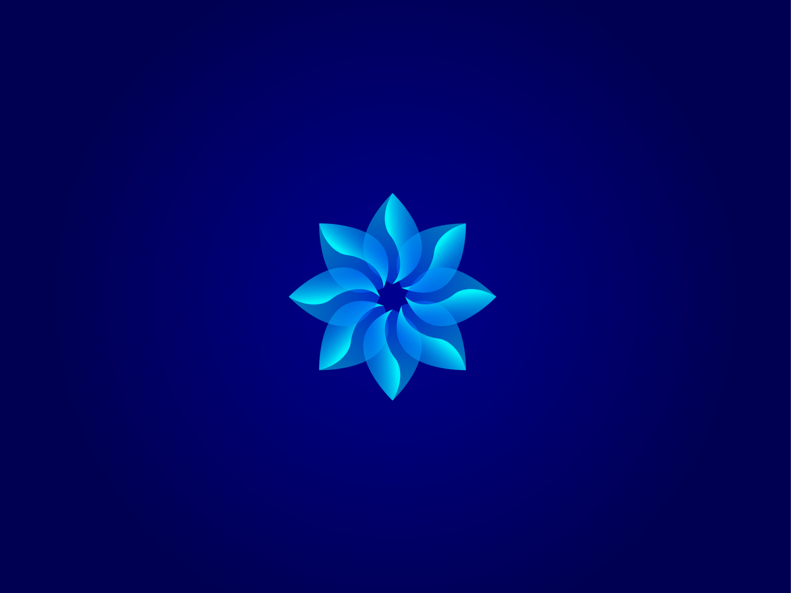 Flower by Lalit on Dribbble