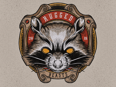 Raccon illustration