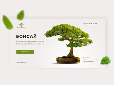 Bonsai banner bonsai branding design green grey illustration light main nature screen tree typography ui web