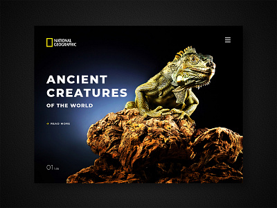 National Geographic animal banner black branding dark design main screen typography ui ux vector web